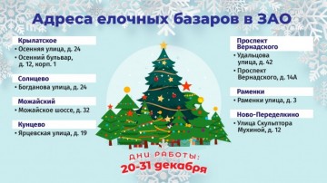 Для Подготовки К Новогоднему Празднику 12 Учащихся